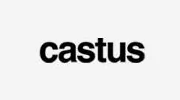 Web Design Sheffield From Castus