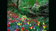 DaVally Garden Services