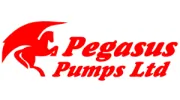 Pegasus Pump