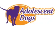 Adolescent Dogs
