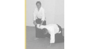 Aikido In Hertfordshire