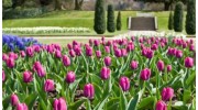 Chester Holiday Cottages