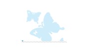 China Butterfly