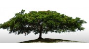 Dunmore Hypnotherapy