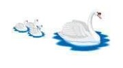 Little Swans Day Nursery