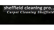 Cleaning Pro