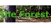 Forest Gym