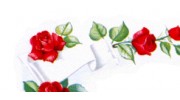 The Village Florist