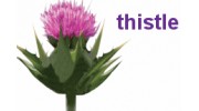 Thistle Industial Services