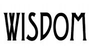 Wisdom Fireplaces