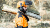 Tree Pruning