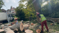 Garden Maintenance