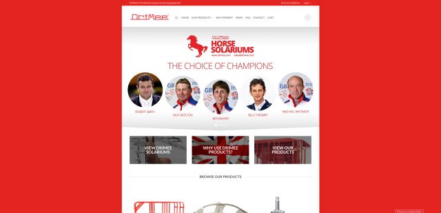 Website design