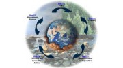 Environment
