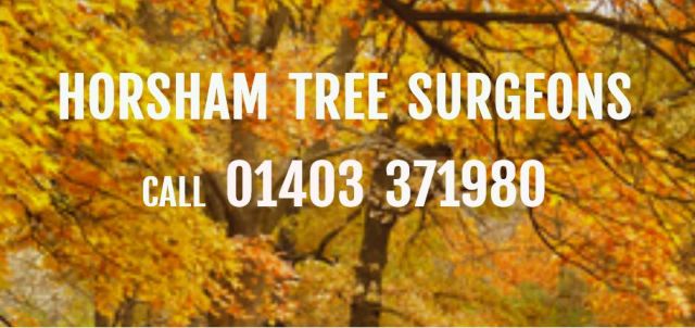 Tree Surgeons in Horsham
