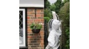 Expert Wasp Nest Removal