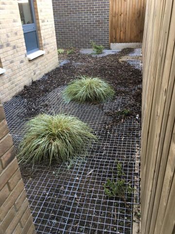 Fox Proofing Exclusion London