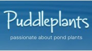 Puddleplants