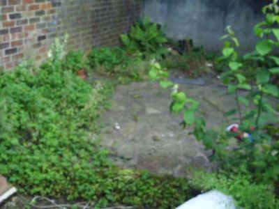 Garden Clearance Before