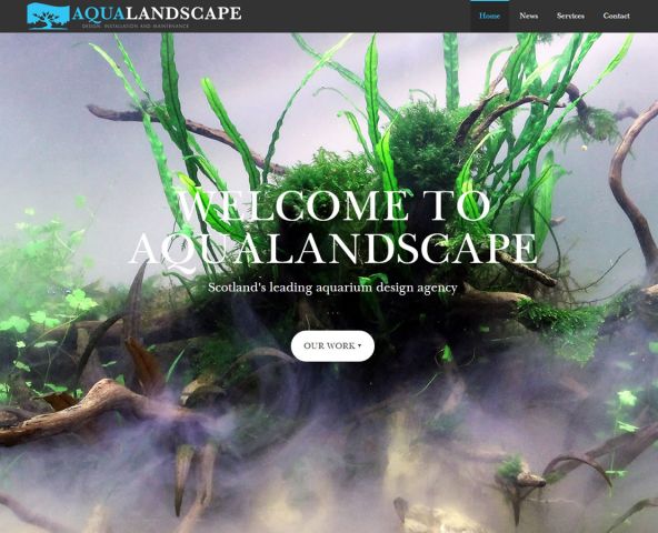 Aqua Landscapes Website Design