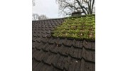 Roof Cleaning Services