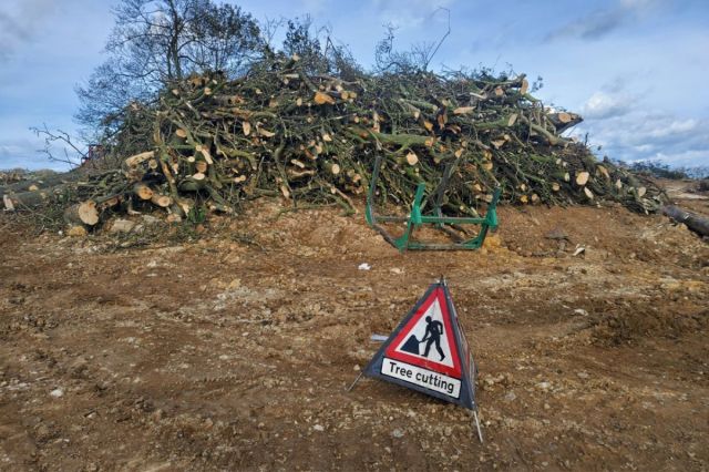 Sheffield based tree care services