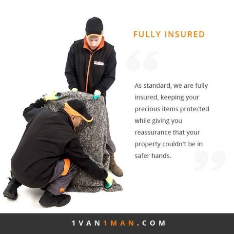 Fully Insured