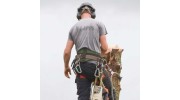 N J Apps Tree Surgery and Fencing