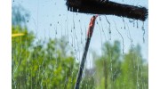 Window Cleaning