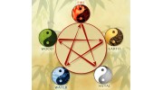 Mark Arnold Acupuncture
