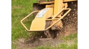 Stump Grinding
