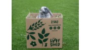 Rabbit Hay & Treats