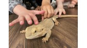 Animal Handling Workshops