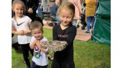 Animal Events