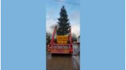 Rubbish Removals