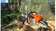 Stump Grinding