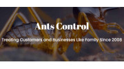 Ants Control