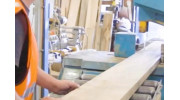 Timber Cutting