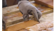 Brick Slip Cutting