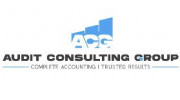 Audit Consulting Group