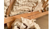 Insulation Removal