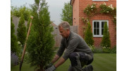 Planting Services