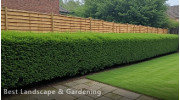 Hedge Cutting