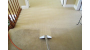 Carpet Cleaning