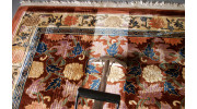 Rug Cleaning