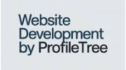 Website Development