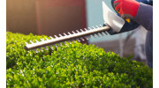 Hedge Trimming