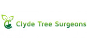 Clyde Tree Surgeons Glasgow
