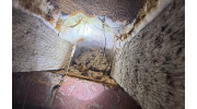 Wet & Dry Rot Treatment