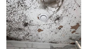 Condensation Survey